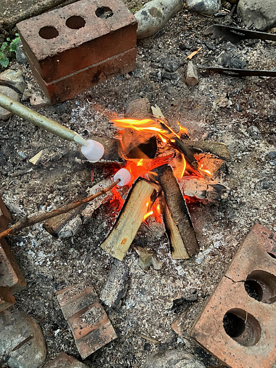 Toasting marshmallows on the campfire