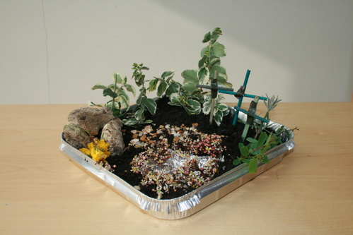 Nat 2007