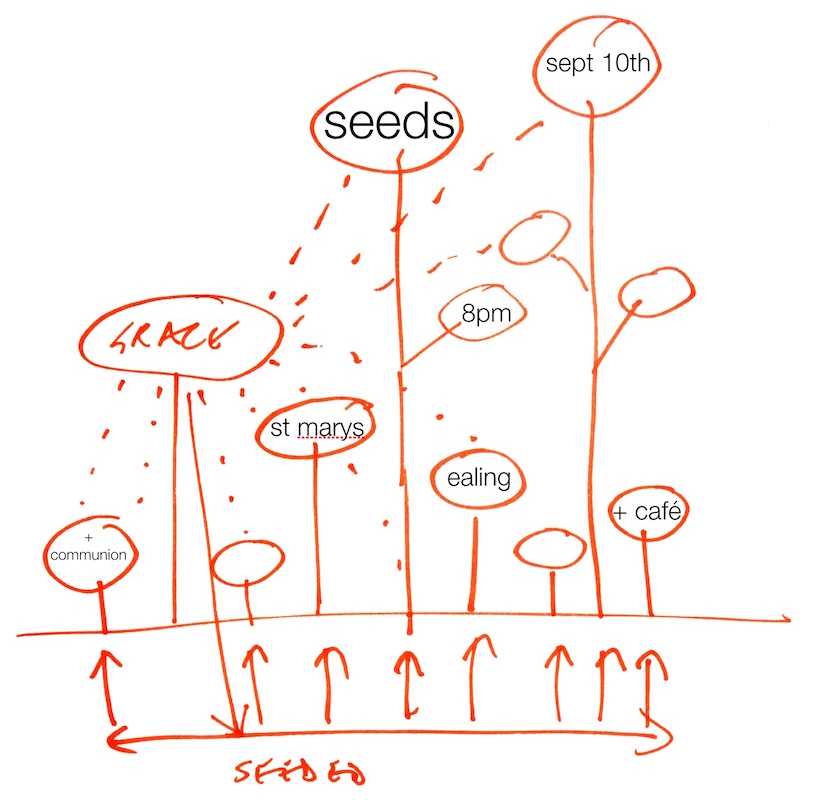 seeds flyer